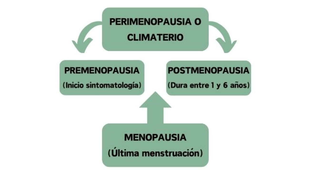 Las diferentes etapas de la perimenopausia
