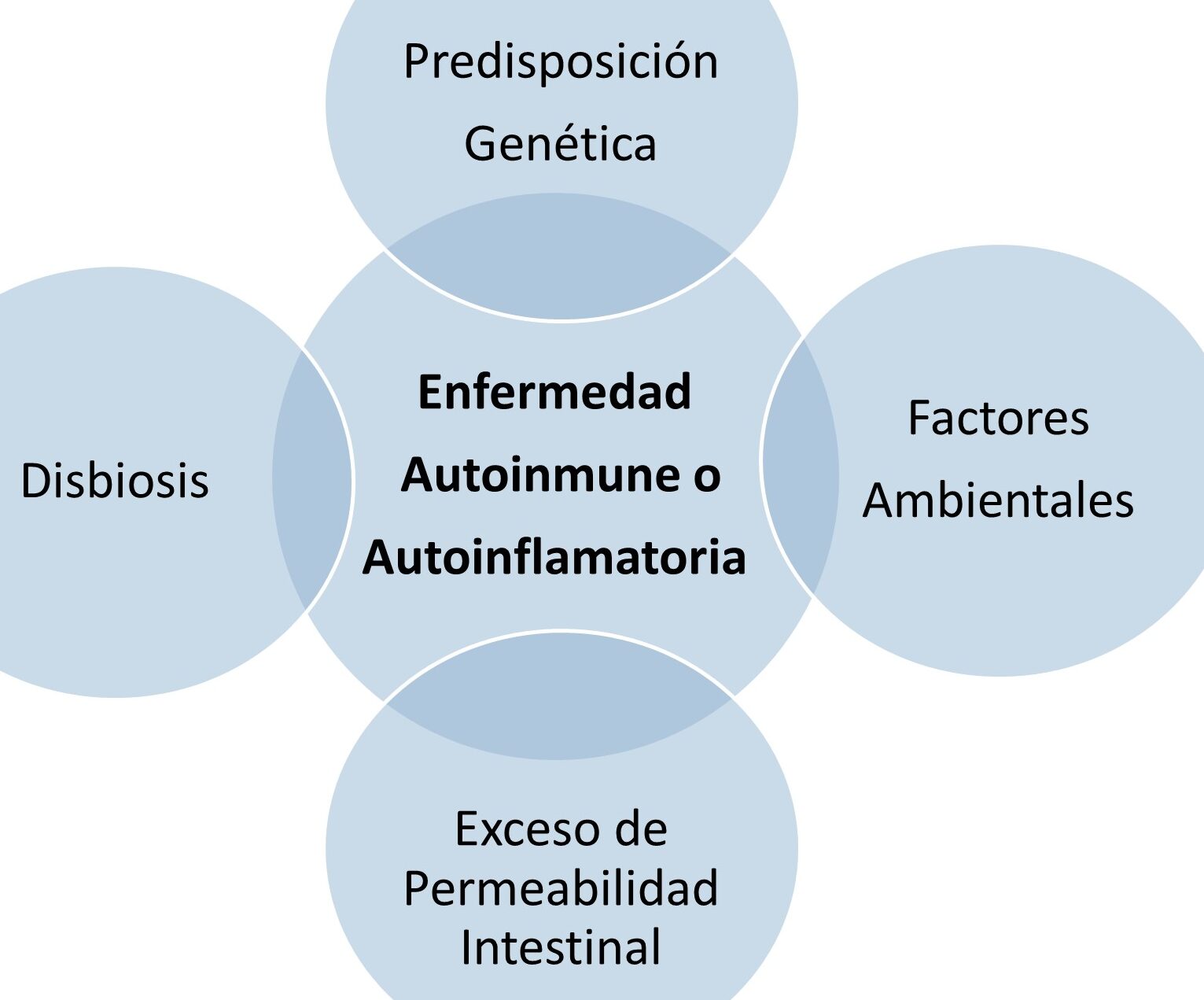 Autoinmune